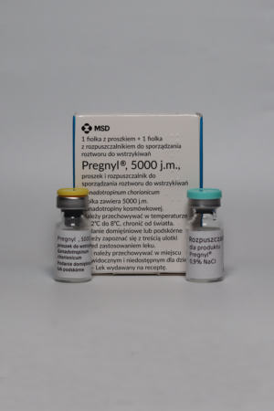 Hcg pregnyl